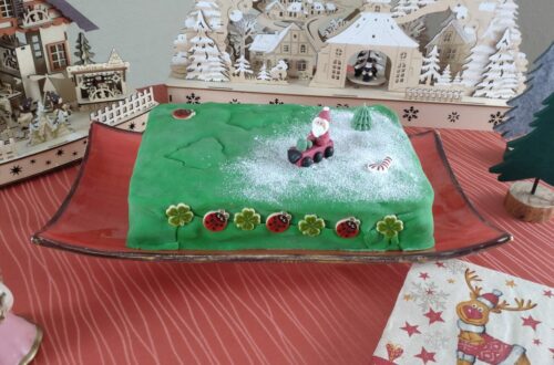 Irischer Weihnachtskuchen